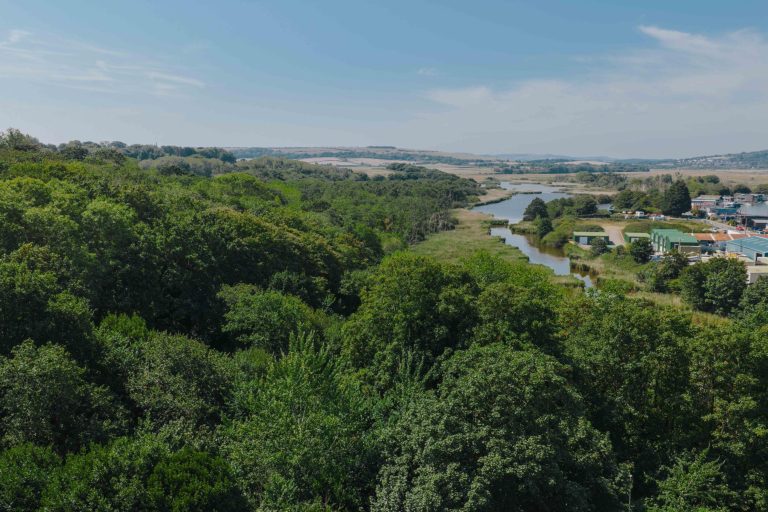 isle of wight landscape of tree tops and wetlands