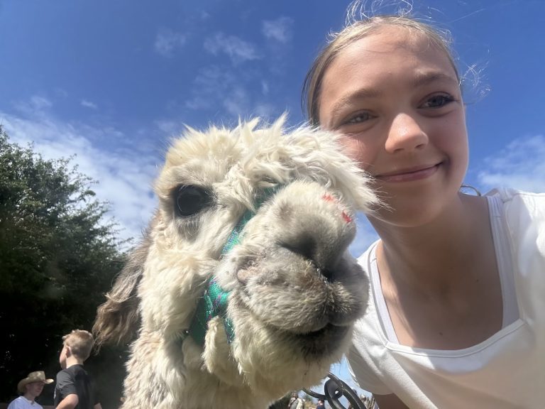 Alpaca selfie