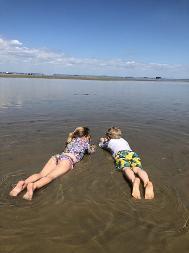ryde sands