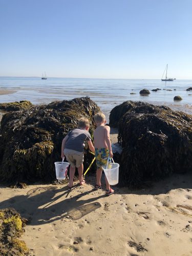 crabbing and rockpooling on Seagrove Bay in the Isle of Wight