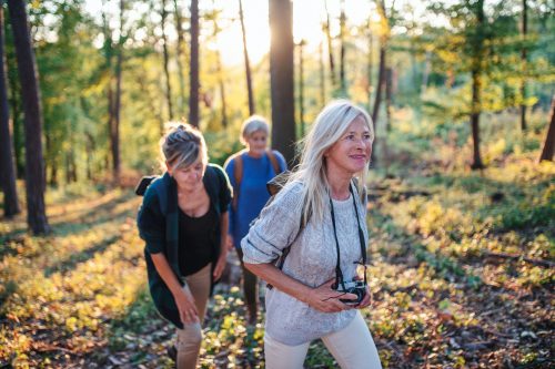 walking festival