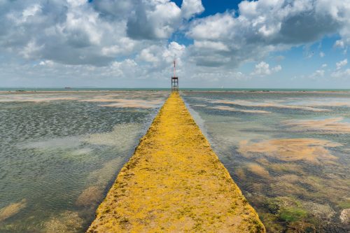 Bembridge Ledge by the lifeboat station