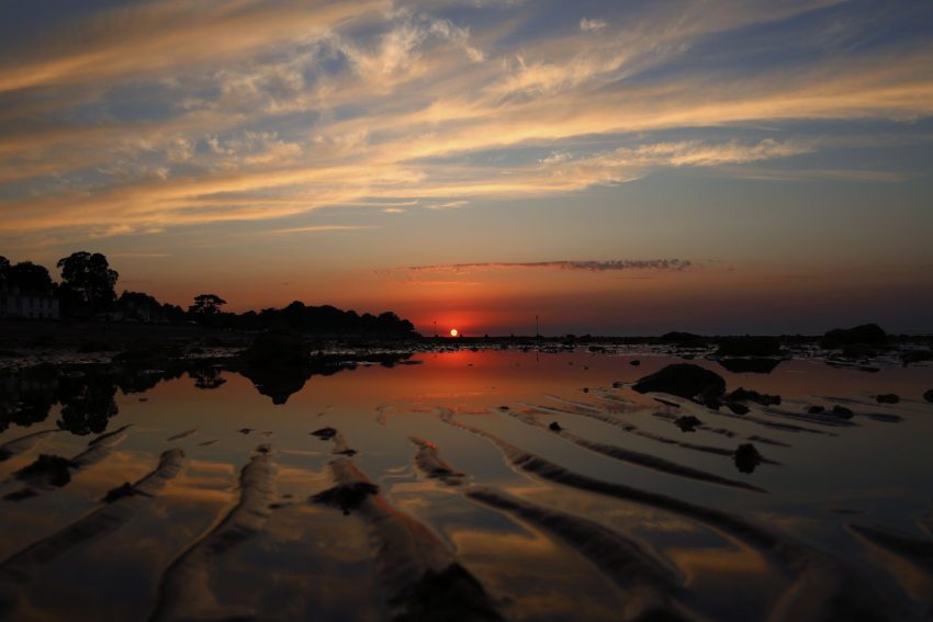 The Brackens image