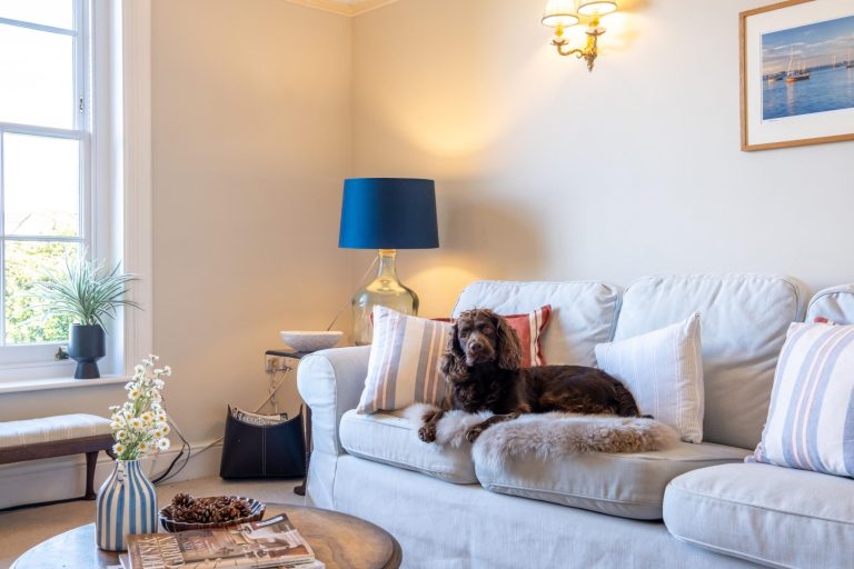 Trelawny Lodge - Dogs welcome