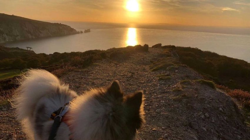 xr:d:DAFT6H-ifY0:33,j:6634221431971410231,t:24021914