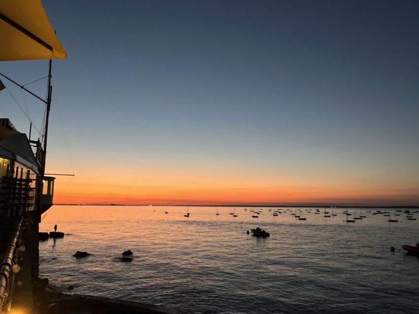 Trelawny Lodge image